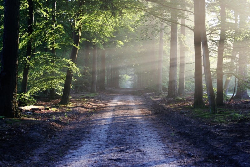 Mountain Trail